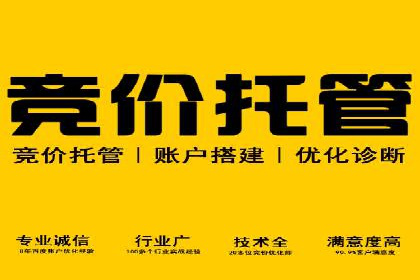 探索SEO在移动端的优化策略——成功案例分享